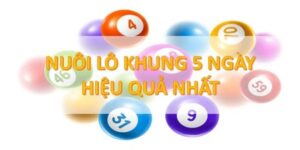 3 cách để có thể nuôi lô khung bạch thủ hiệu quả và rất đơn giản