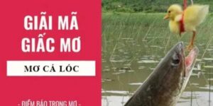 Nằm mơ thấy cá lóc là điềm báo tốt hay xấu?