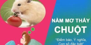 Nằm mơ thấy chuột bò lên người chứng tỏ bản thân bạn đang gặp phải nhiều áp lực